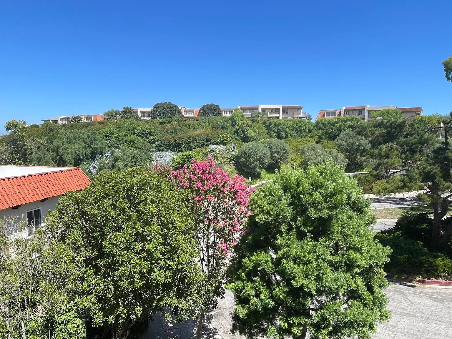 2 bed, 1338 sqft, $3,395 — Photo 3