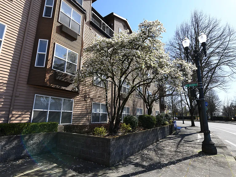 Axcess 15 Apartments — Photo 14