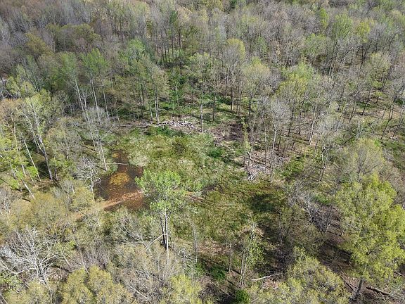 Dji Fly 20260331 111232 0200 1775063491771 Photo
