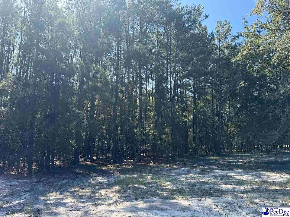 2nd image of LOT 7 Isaiah Dr