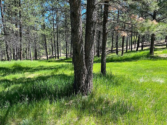 Trees and Open Space