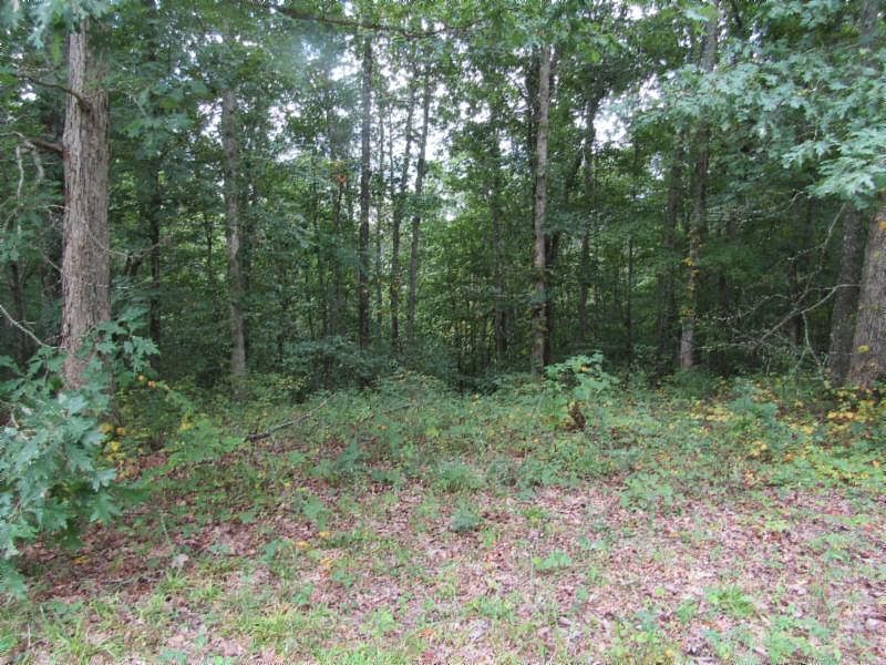 1st image of LOT 1 Backwoods Trl