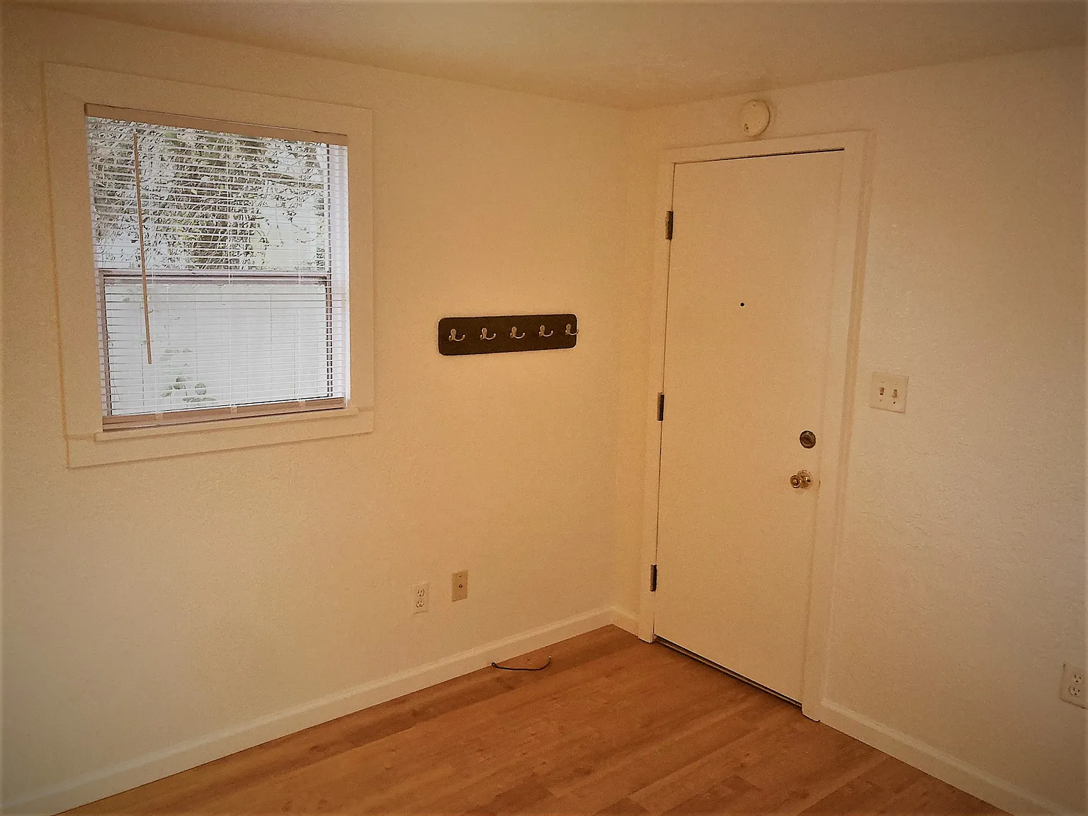 1 bed, 275 sqft, $1,200 — Photo 4