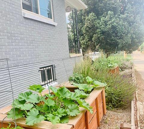 2 raised bed gardens in the side yard, with automated drip lines