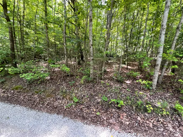 Anna Laura Ln, Rockwood, TN 37854