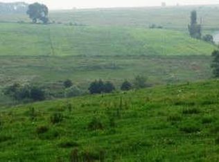 4200 Clarksburg Rd, California, MO 65018