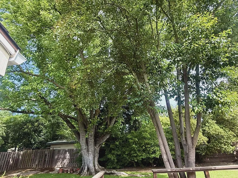 2585 Sierra Blvd — Photo 23