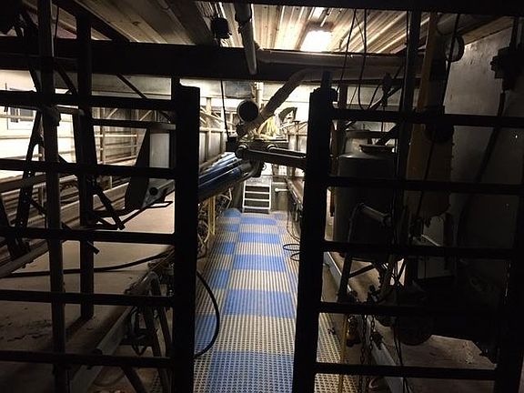 Modern-Day Dairy, 27246 Hwy 28, Grey Eagle, MN: double (15) swing parlor