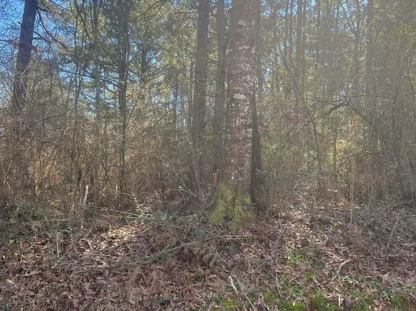 189 Welch Ln, Kentwood, LA 70444