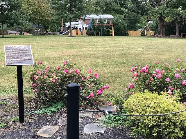 203 S Dorsey Ln #203 — Photo 35