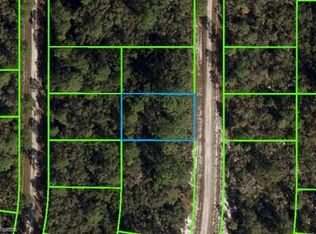1244 Dogwood St, Lake Placid, FL 33852