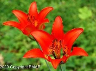 T 416 Turkey Hill Rd, Stroudsburg, PA 18360