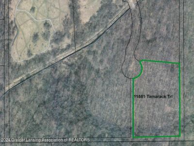 11581 Tamarack Trl, Bath, MI, 48808