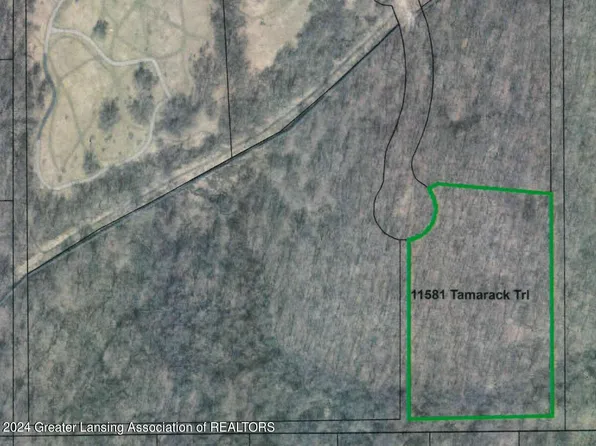 11581 Tamarack Trl, Bath, MI 48808