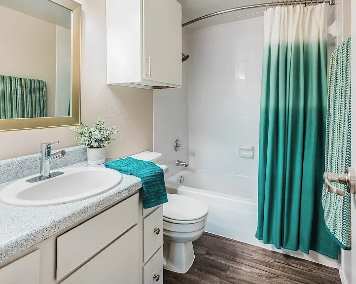 Amber Creek Apartments — Photo 11