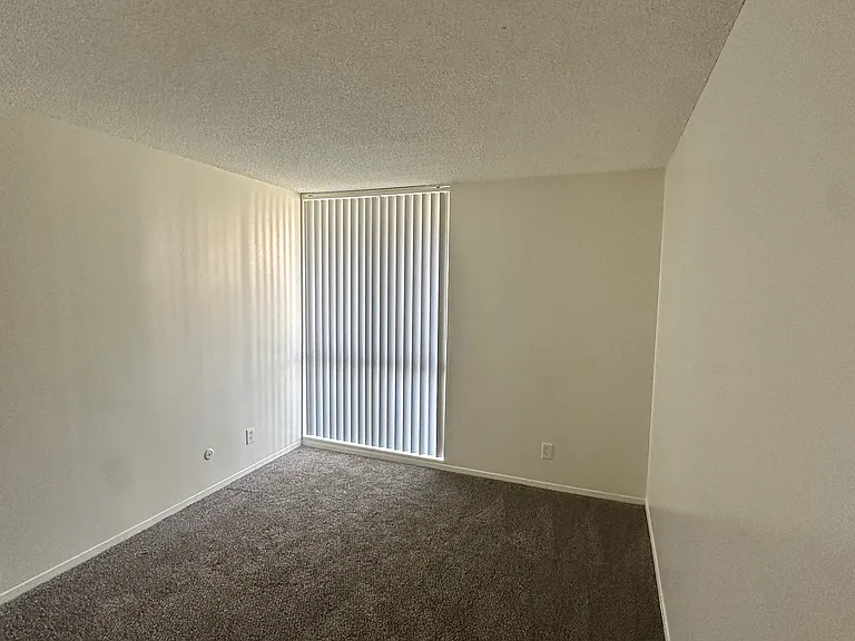 Palm Terrace Apartments — Photo 30