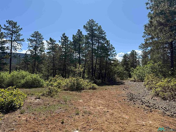 2nd image of Buckman Rd