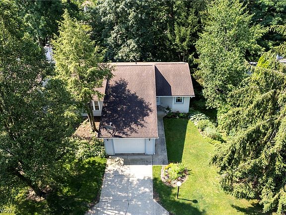 4th image of 594 Forest Creek Dr