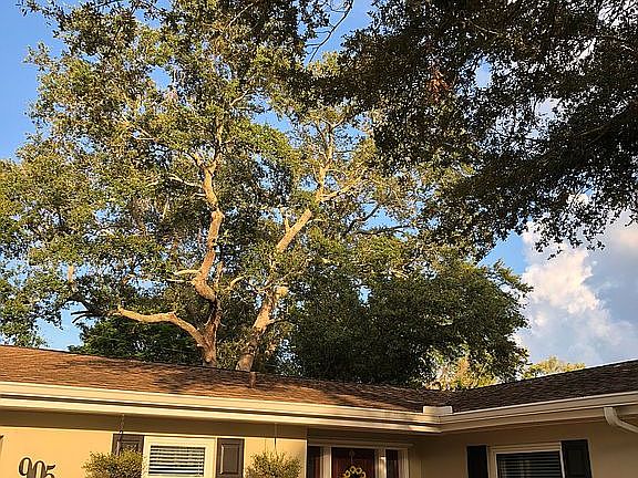 5th image of 905 Oakview Ave