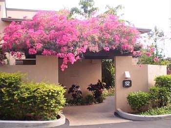 1st image of 3300 Wailea Alanui Dr APT 52B