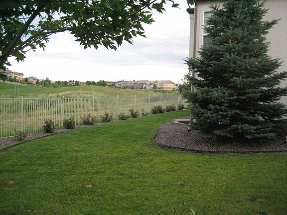 Backyard View and Preserve