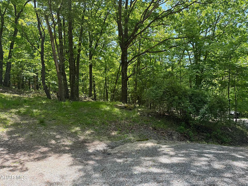 2nd image of 0 Alpine Ln