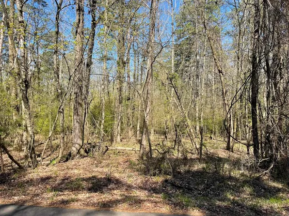 49 Costa Del Lago Ln, Hot Springs Village, AR 71909