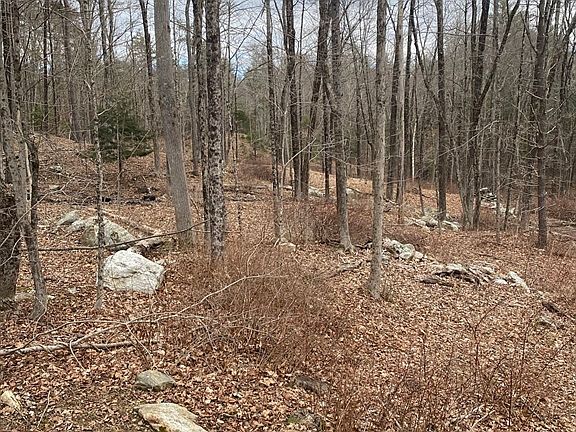 4th image of LOT 80-80.1 Brentwood Dr
