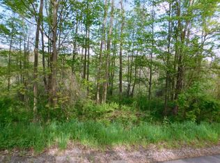 1264 Rhodes Rd, Johnson City, NY 13790