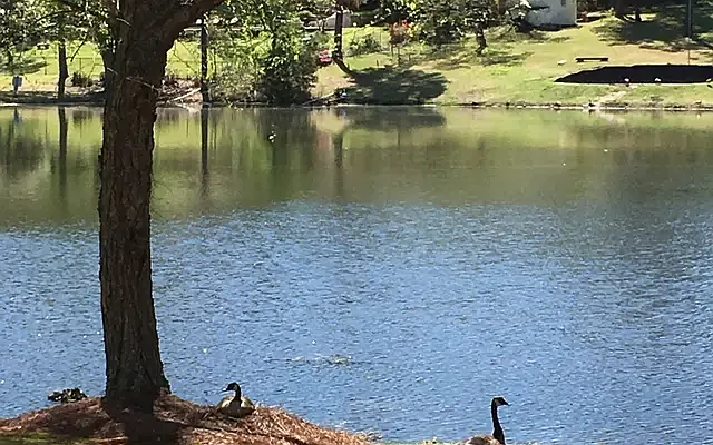 Lake Clair — Photo 21