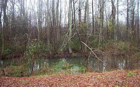2nd image of 161 Lakeshore Dr N