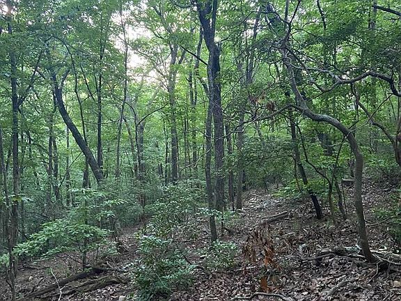 5th image of 58 Cherokee Cir