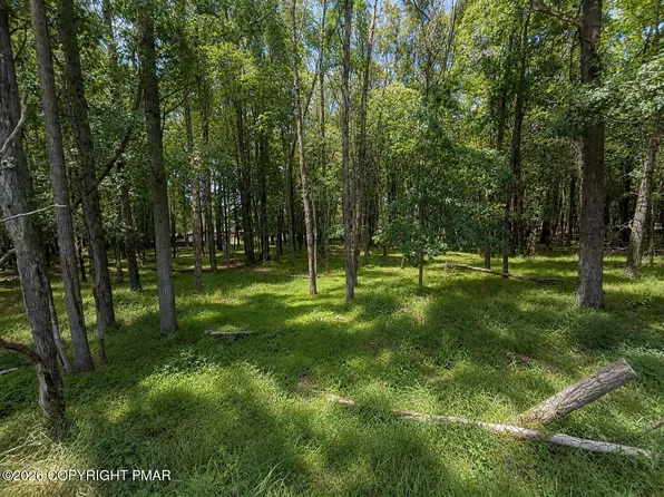 Mountain Rd Lot 521, Albrightsville, PA 18210