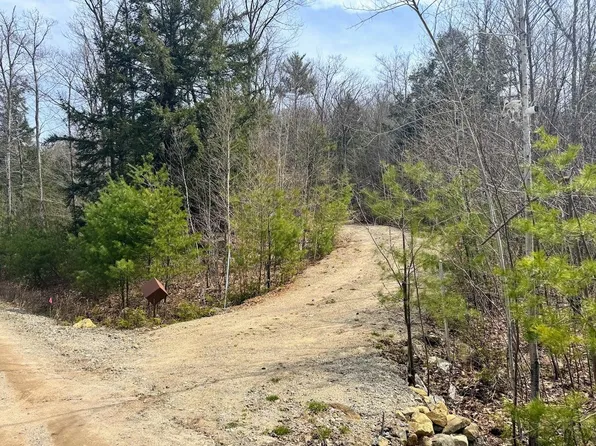 Lot 44-4 Bog Road, Hillsborough, NH 03244