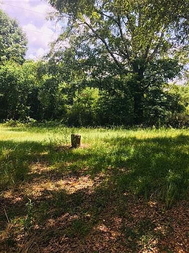 2nd image of 2923 Bill Strong Rd