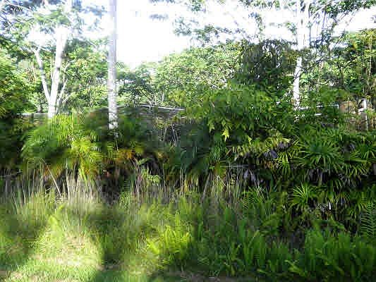 2nd image of Luana St Lot 63