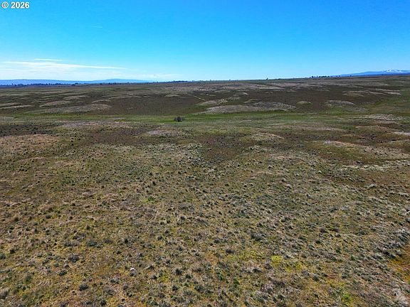 4th image of Dot Rd #1