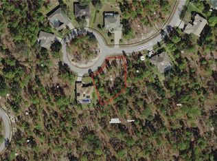 9 Nephthytis Ct, Homosassa, FL 34446