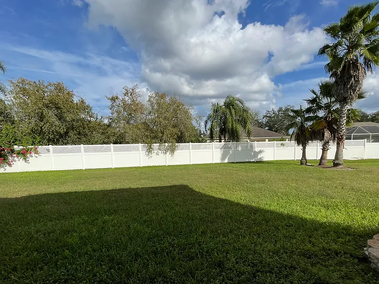 backyard!