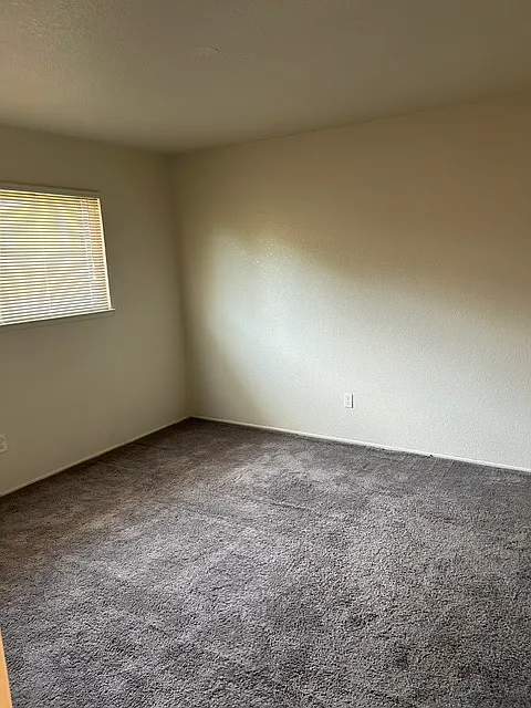 2 bed, $1,500 — Photo 4