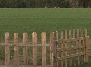 9734 Satterlee Rd, Lakeview, MI 48850