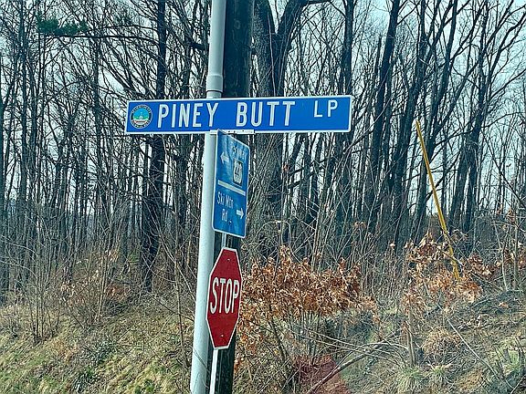 5th image of Piney Butt Loop