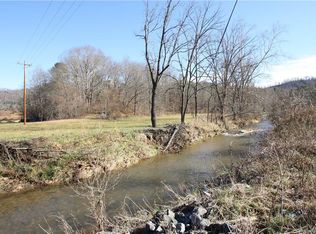 199 Sandy Mush Creek Rd, Leicester, NC 28748