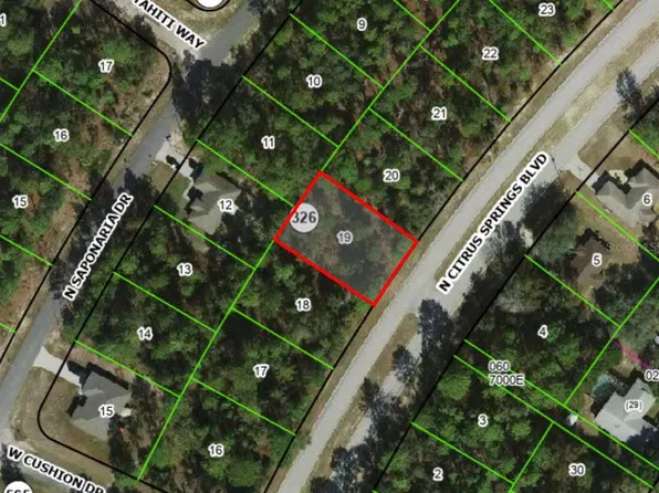 9170 N CITRUS SPRINGS BOULEVARD, CITRUS SPRINGS, FL 34433