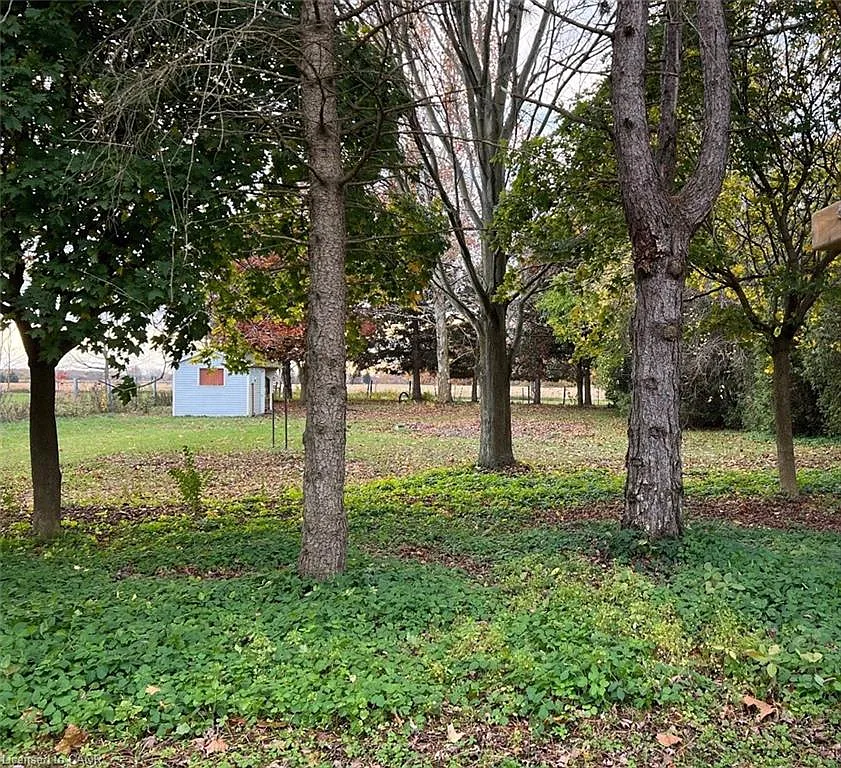 10767 Graham Rd photo 1
