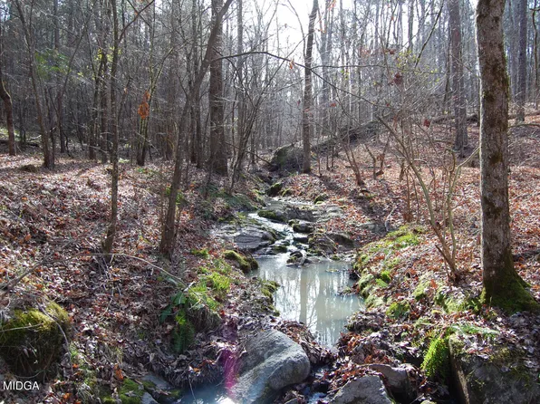 0 Eastover Rd, Greensboro, GA 30642