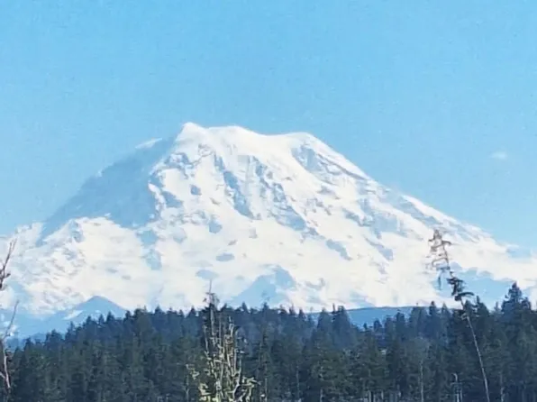 13459 193rd St E, Graham, WA 98338