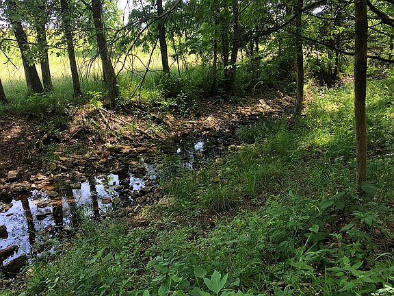 5th image of 4198 Elk Creek Dr