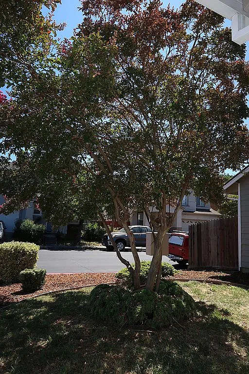 701 Deerfield Dr - Photo 5