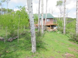 19582 Johnson Rd, Paonia, CO 81428